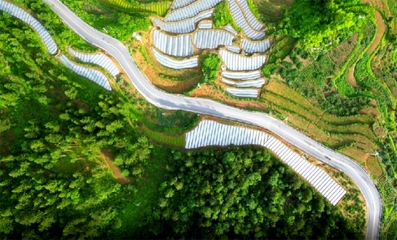 邵陽市:隆回&ldquo;四好農(nóng)村路&rdquo;協(xié)奏&ldquo;鄉(xiāng)村振興曲&rdquo;