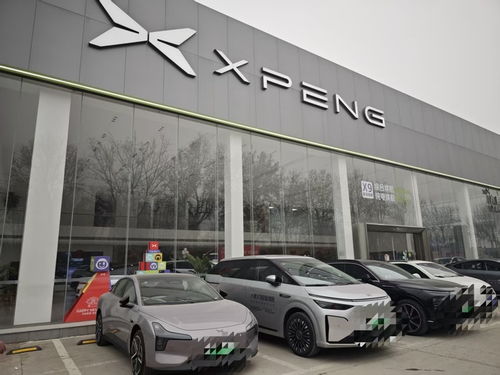 記者探訪濟(jì)南十余家汽車銷售門店 新能源汽車與合資品牌成市場(chǎng)焦點(diǎn)